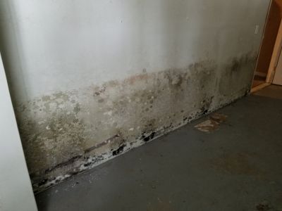 Basement Leaks Can Cause Mold and Mildew Growth, Negatively Affecting Indoor Air Quality